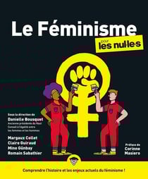 Le féminisme pour les nul.le.s (2e édition)