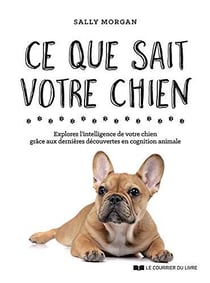 Ce que sait votre chien - explorez l'intelligence de votre chien grâce aux dernières découvertes en cognition animale