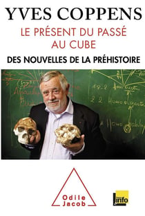 Le présent du passé au cube - l'information préhistorique