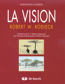 La vision