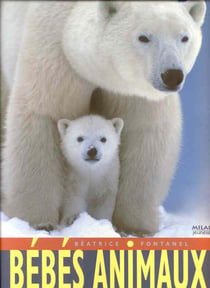 Bébés animaux