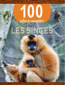 100 infos à connaître : Les singes