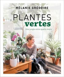 Plantes vertes. une jungle entre quatre murs