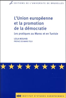 L union europeenne et la promotion de la democratie - les pratiques au maroc et en tunisie