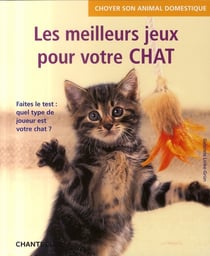 Choyer son animal domestique - les meilleurs jeux pour votre chat