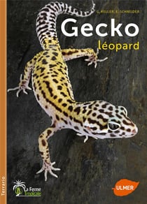 Le gecko léopard