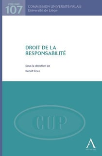 Droit de la responsabilité