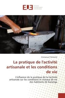 La pratique de l'activite artisanale et les conditions de vie : L'influence de la pratique de la l'activite artisanale sur les conditions et niveaux de vie