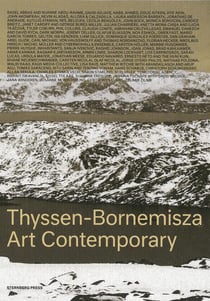 Thyssen-bornemisza art contemporary