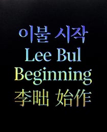 Lee Bul : beginning
