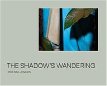 The shadow s wandering