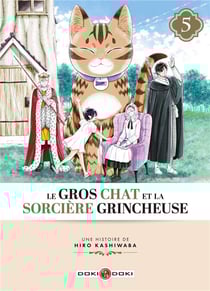 Le gros chat et la sorciere grincheuse Tome 5
