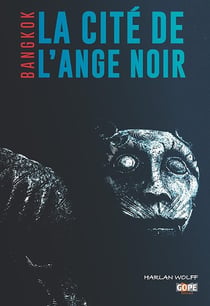 La cité de l'ange noir