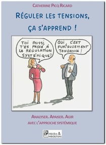 Réguler les tensions, ça s'apprend ! : Analyser, apaiser, agir avec l'approche systémique