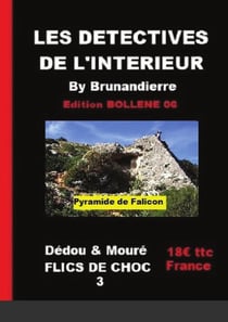 LES DETECTIVES DE L'INTERIEUR