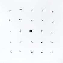 Split Series #24