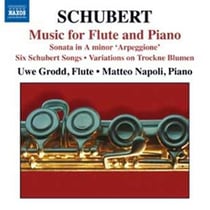 Musique pour flûte et piano