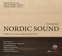 Recorder recital