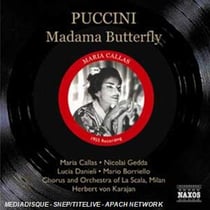 Madame butterfly