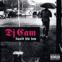 Liquid hip-hop
