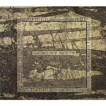 Maiestrit - maiastru sfetnic