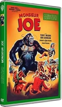 Monsieur Joe
