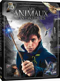 Coffret Wizarding World : Harry Potter 1 à 7.2 + Les Animaux fantastiques 1  à 3 - [4K + 2D] - France - Blusteel