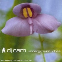 Underground Vibes