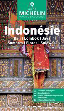 Le guide vert : Indonésie : Bali, Lombok, Java, Sumatra, Flores, Sulawesi (édition 2025)