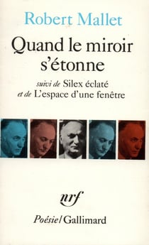 Quand le miroir s'étonne - silex éclaté - l'espace d'une fenêtre