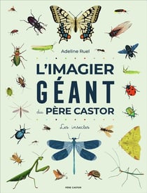 L'Imagier géant du Père Castor : Les insectes