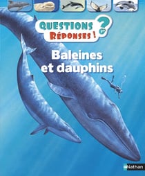 Questions réponses 7+ : baleines et dauphins
