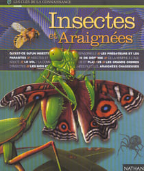 Insectes et araignees