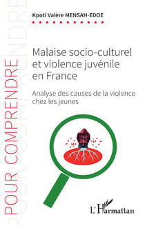 Malaise socio-culturel et violence juvénile en France : analyse des causes de la violence chez les jeunes