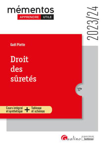 Droit des sûretés : Cours intégral et synthétique + tableaux et schémas (édition 2023/2024)