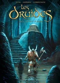 Les druides Tome 5 : la pierre de destinée