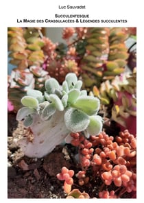 La Magie des Crassulacées et légendes succulentes : Succulentesque