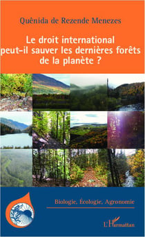 Droit international peut il sauver les dernières forêts de la planète ?