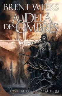 L'ange de la nuit Tome 3 : au-delà des ombres