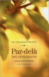 Par-delà les croyances