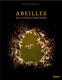 Abeilles mellifères sauvages