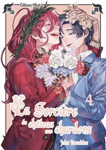 La sorcière du château aux chardons Tome 4