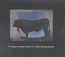 Daguerreotype francais objet