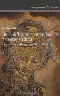 De la difficulté contemporaine à penser en droit - leçons de philosophie du droit