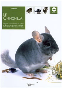 Chinchilla