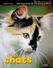 Chats (les)