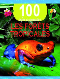 100 infos à connaître : La forêt tropicale