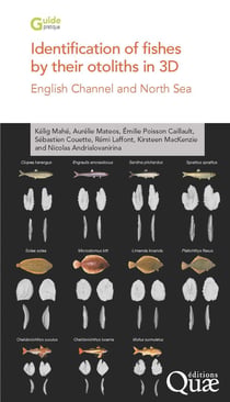 Identification of fishes by their otoliths in 3D