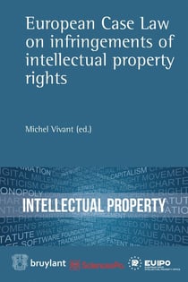 European case law on infringements of intellectual property rights