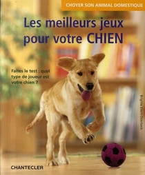 Choyer son animal domestique - les meilleurs jeux pour votre chien